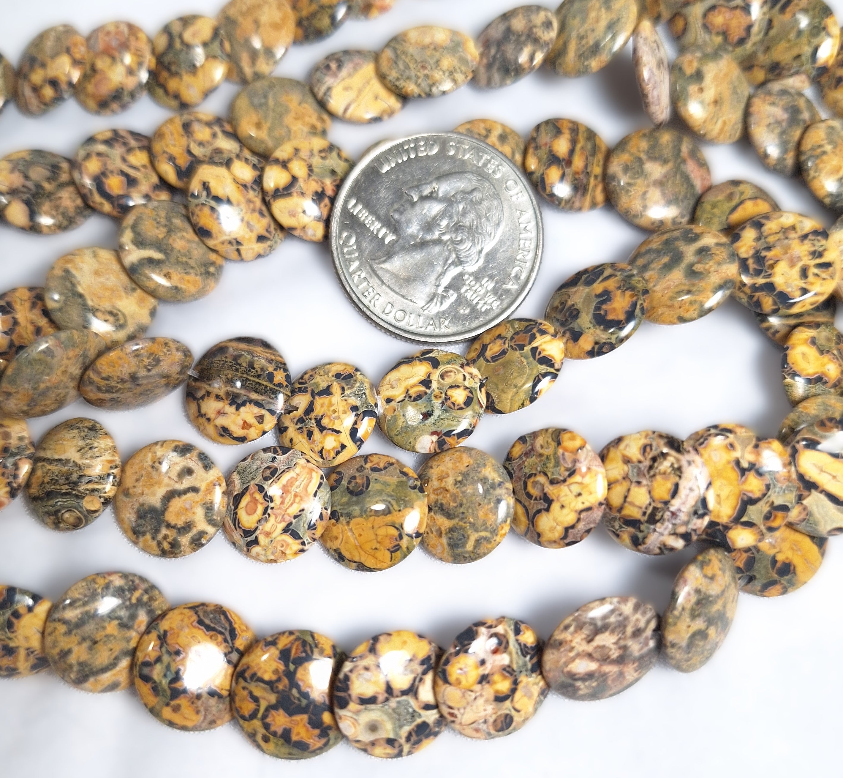 12mm Leopard Jasper Tiled Lentil Coin Gemstone Beads 16-Inch Strand
