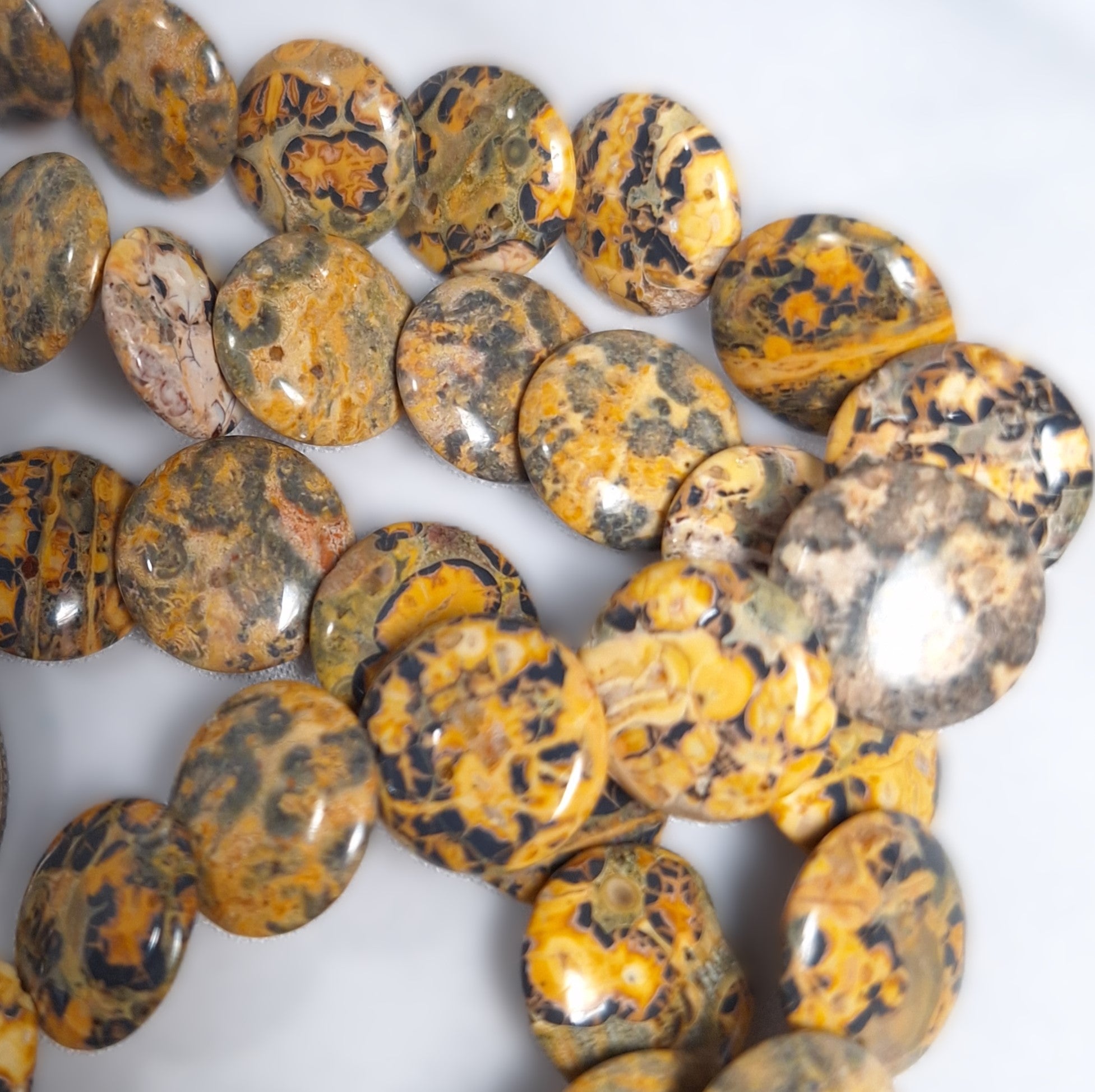 12mm Leopard Jasper Tiled Lentil Coin Gemstone Beads 16-Inch Strand