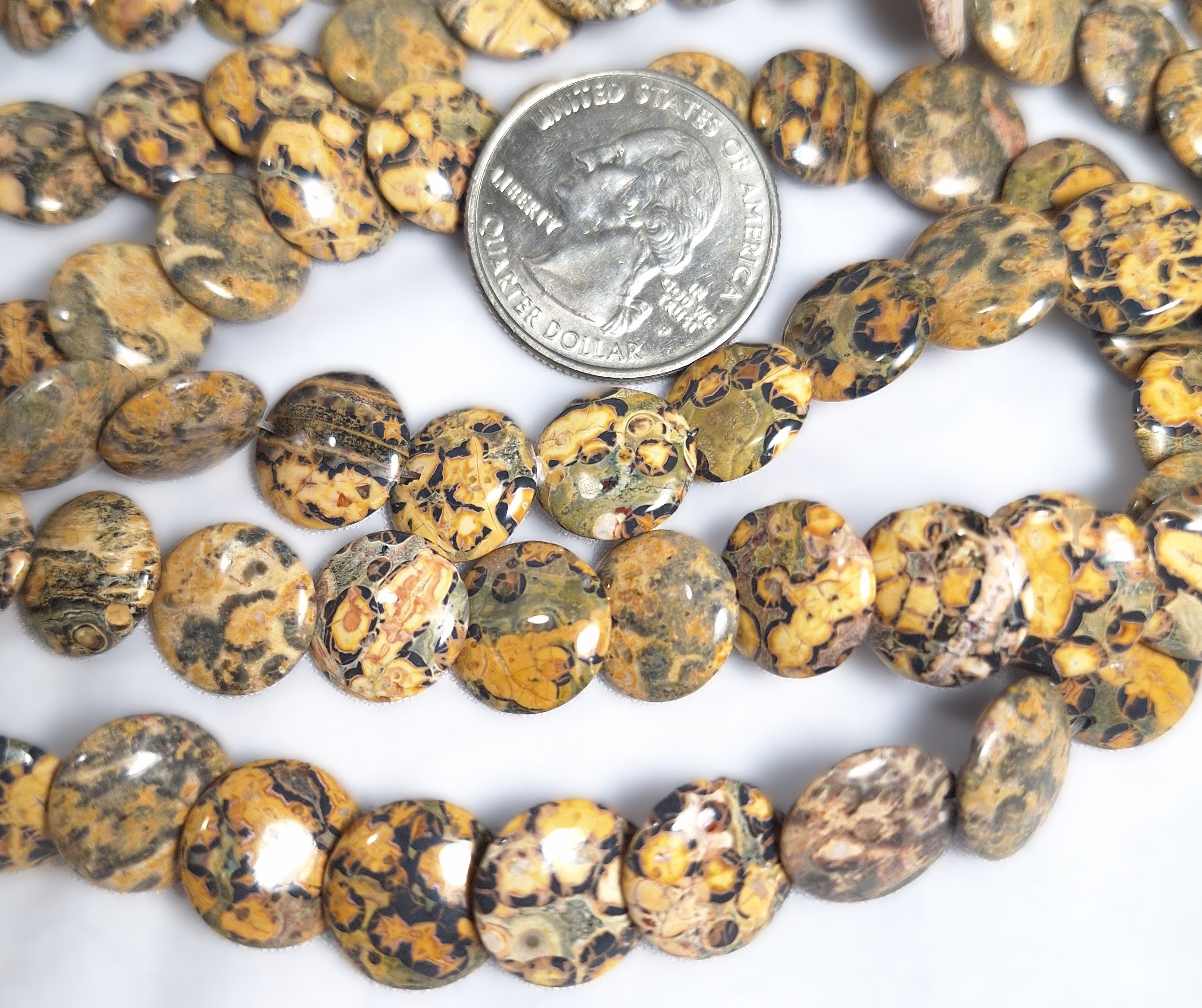 12mm Leopard Jasper Tiled Lentil Coin Gemstone Beads 16-Inch Strand