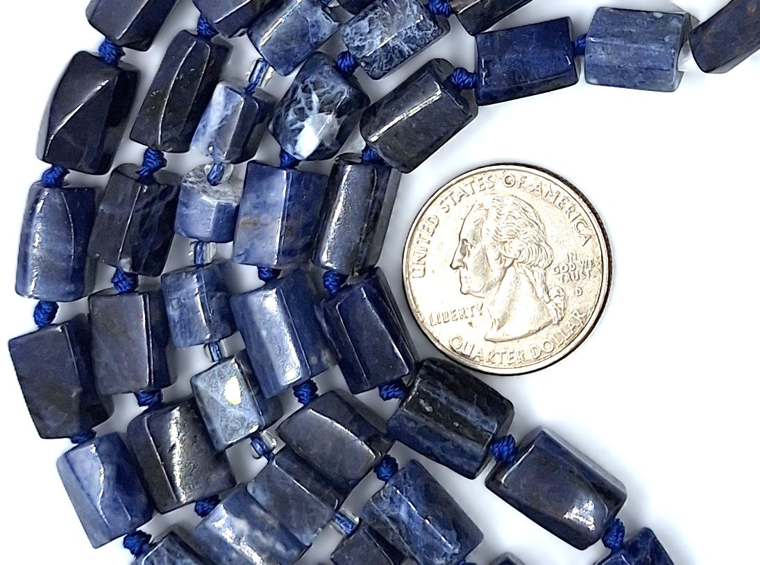 14x10mm Sodalite Freeform Tube Gemstone Beads 8-Inch Strand