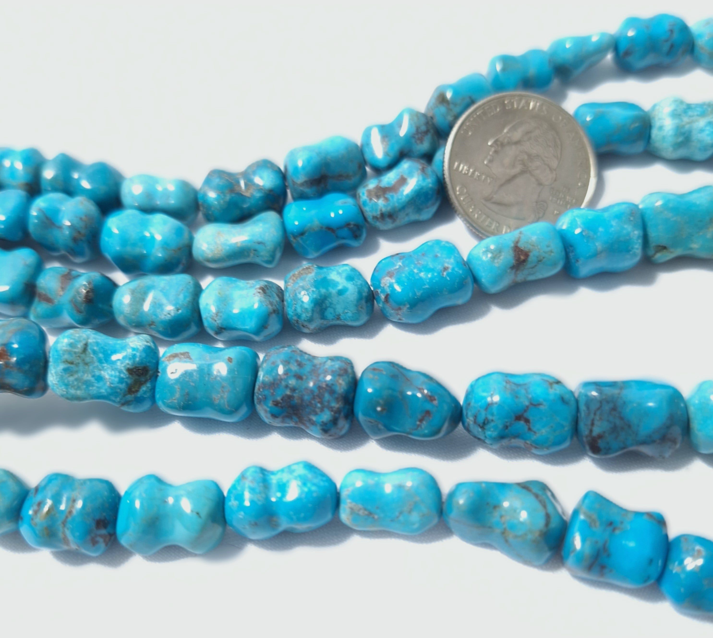 14x8mm Natural Turquoise Dog Bone Gemstone Beads 16-Inch Strand