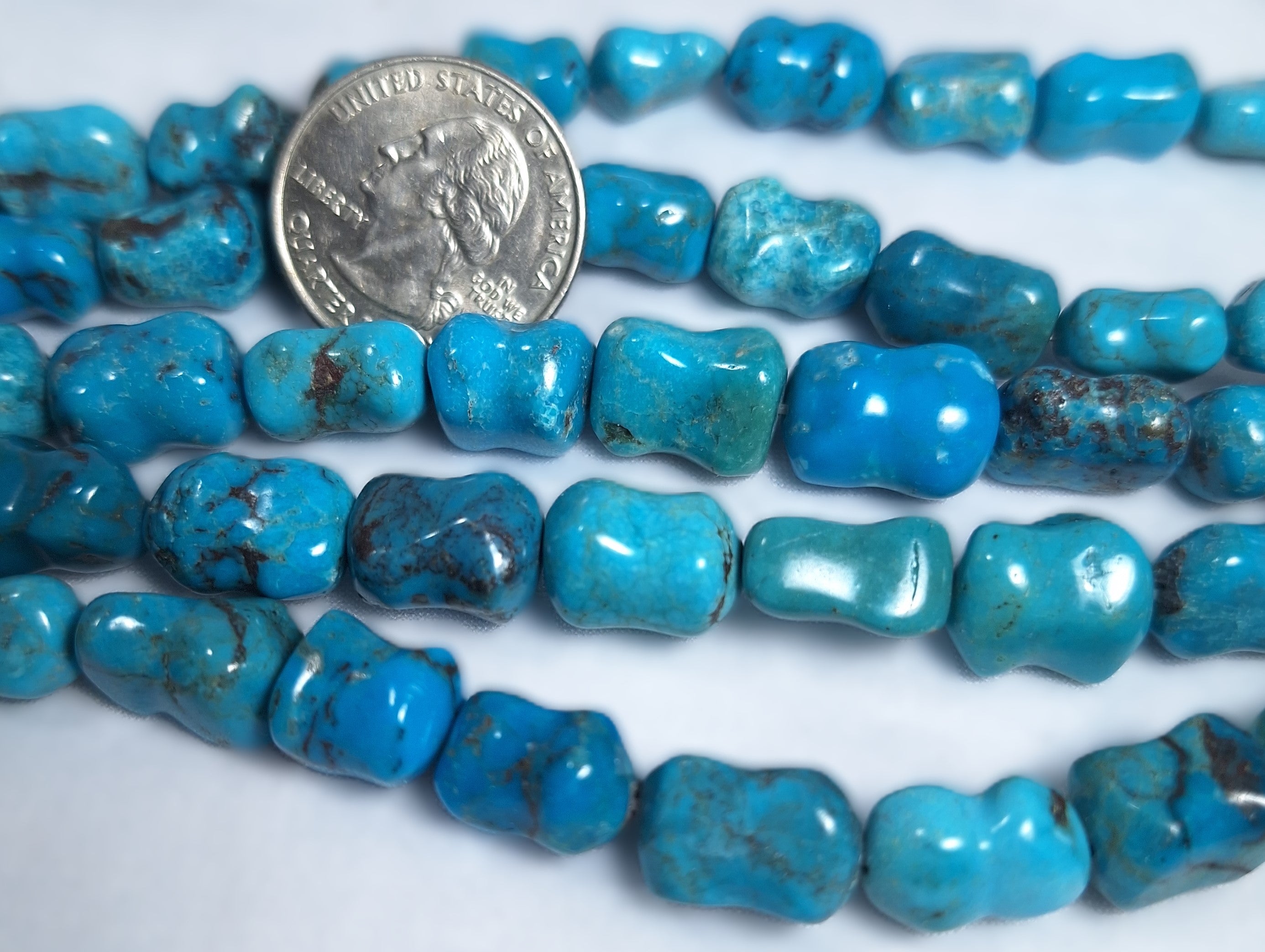 14x8mm Natural Turquoise Dog Bone Gemstone Beads 16-Inch Strand