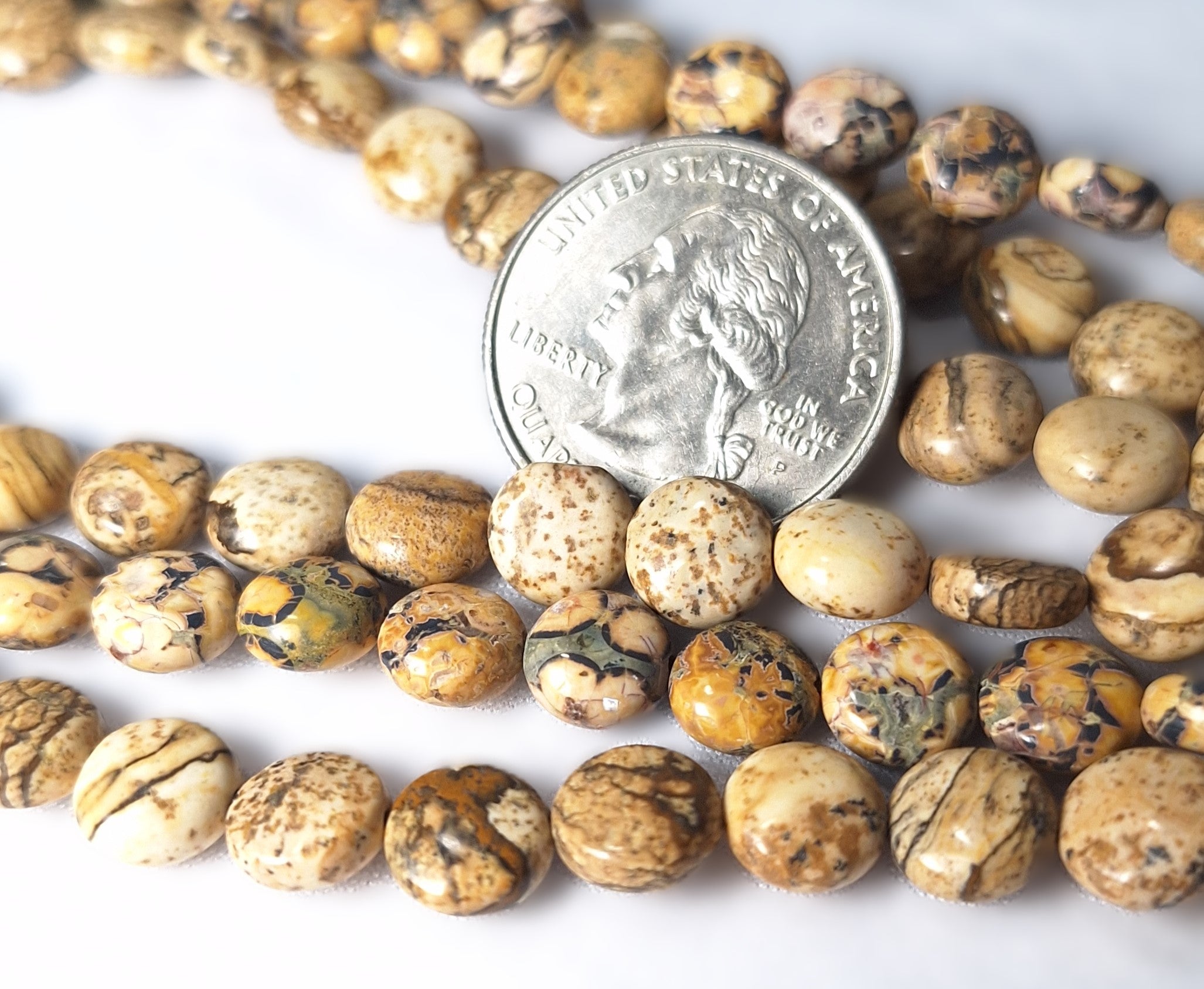 8mm Picture Jasper Coin Gemstone Beads 16-Inch Strand