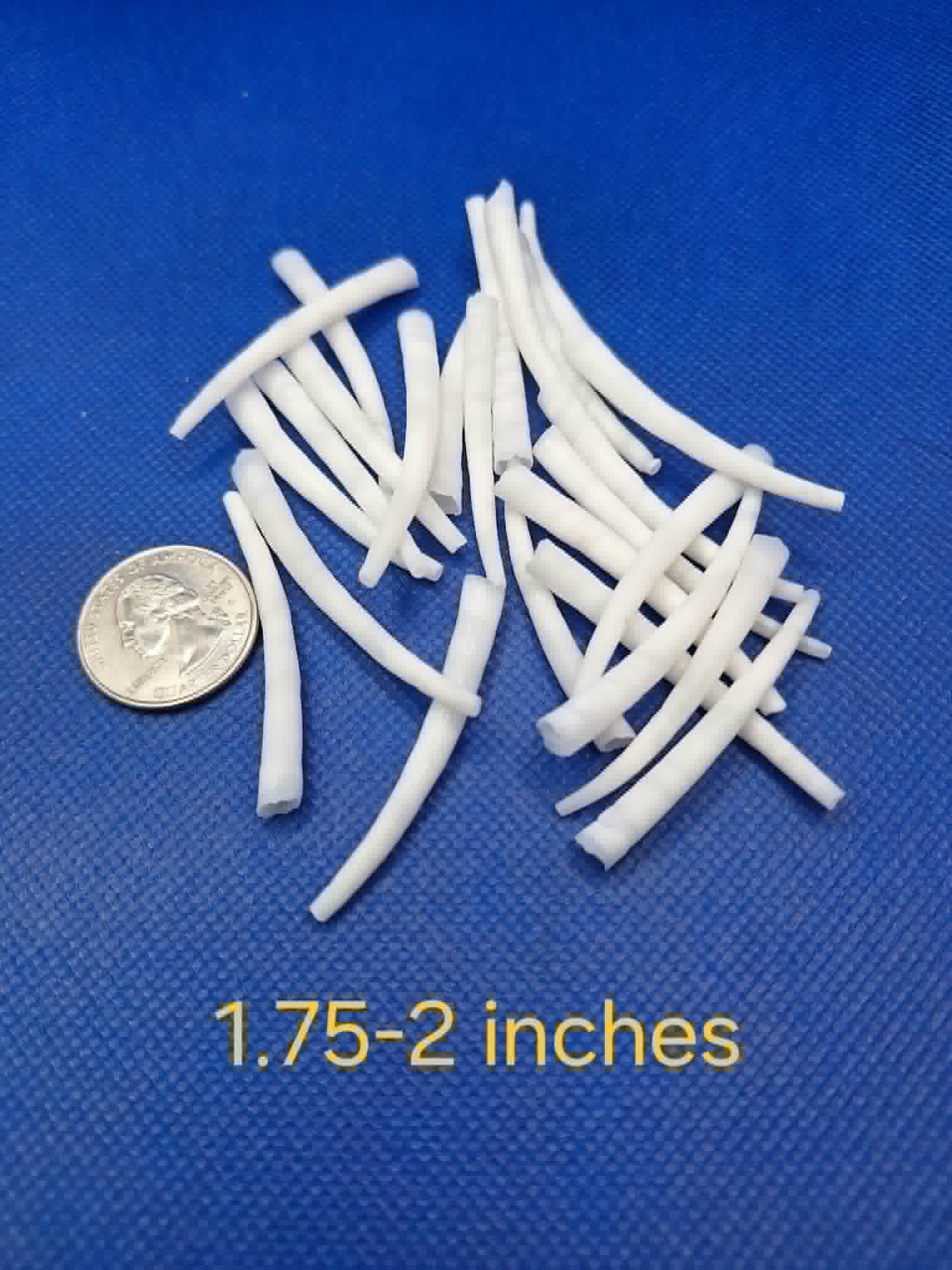 1.75-2-inch Dentalium Shells Smooth White Sorted 25g