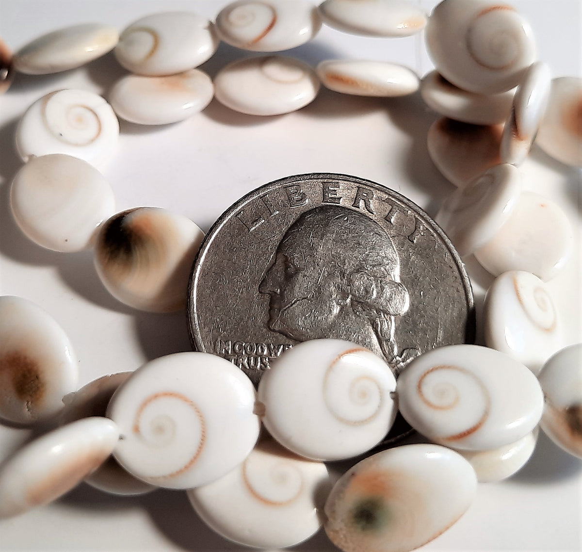 Shiva Eye 10-12x14mm Oval Shell Beads 12ct Dakota Stones Pacific Cat's Eye