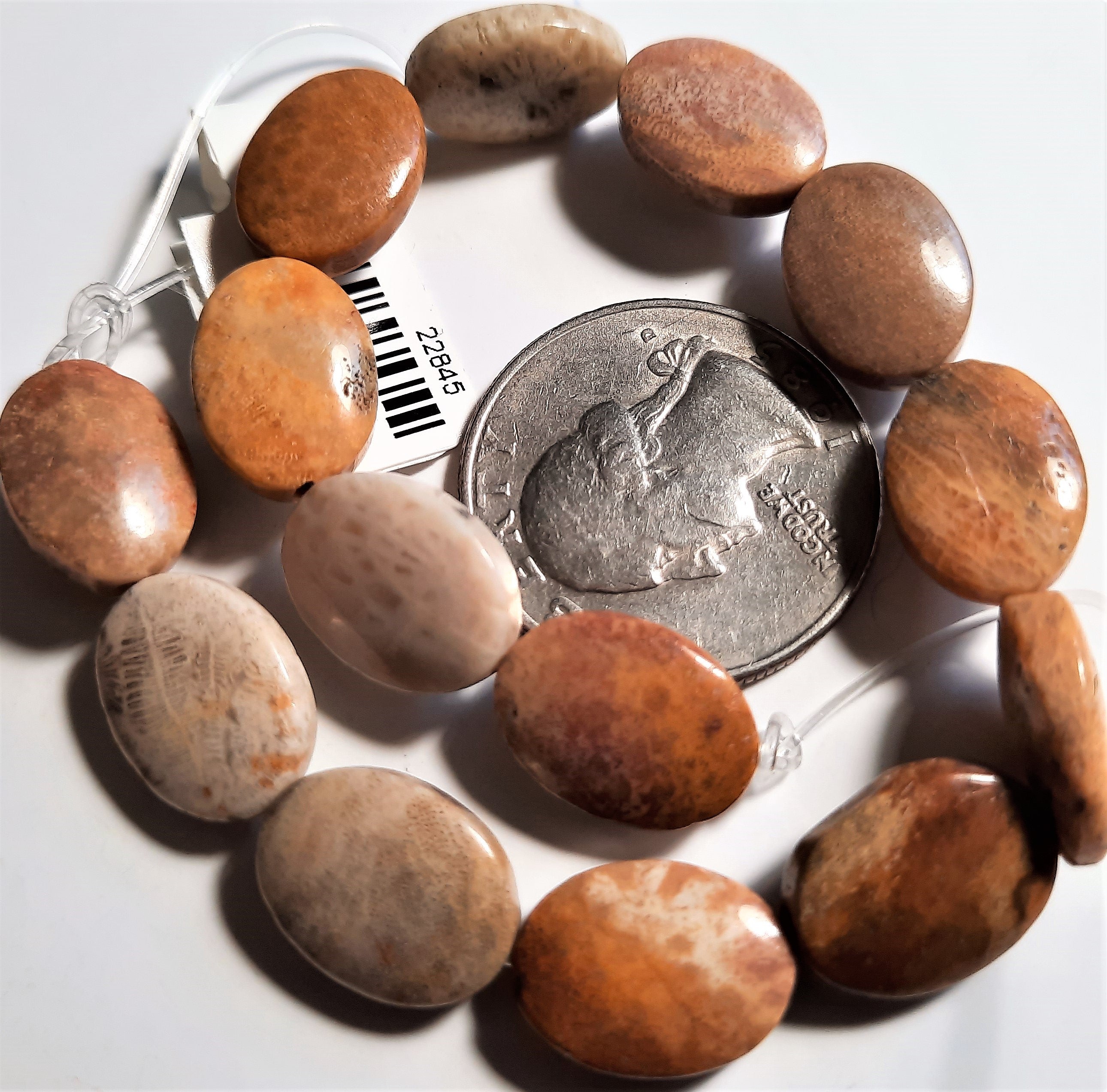 Fossil Coral 10x14mm Oval Dakota Stones Beads 8-Inch ACTUAL STRAND