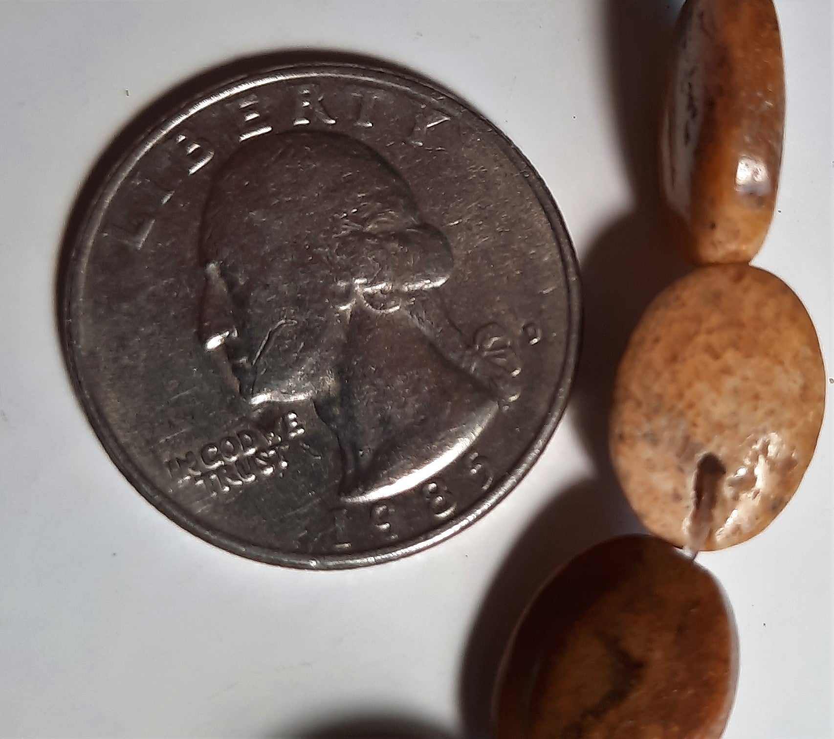 Fossil Coral 10x14mm Oval Dakota Stones Beads 8-Inch ACTUAL STRAND