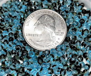 3mm Blue Tortoise Shell Smooth Round Druk Beads 200ct