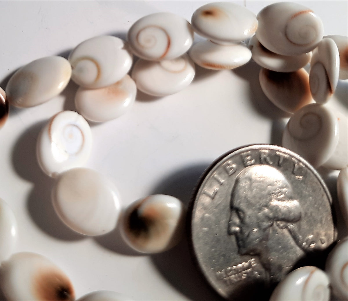Shiva Eye 10-12x14mm Oval Shell Beads 12ct Dakota Stones Pacific Cat's Eye