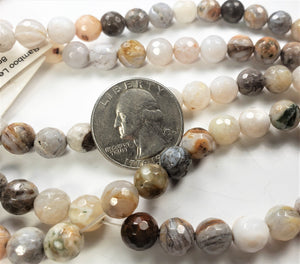 8mm Bamboo Leaf Agate Faceted Round Gemstone Beads 8-inch Strand