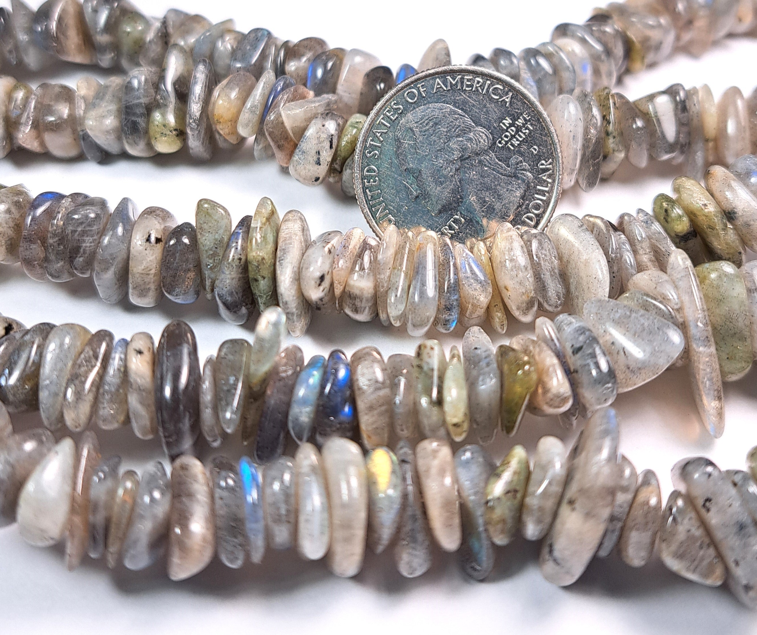 13x9mm Labradorite Chip Gemstone Beads 8-Inch Strand